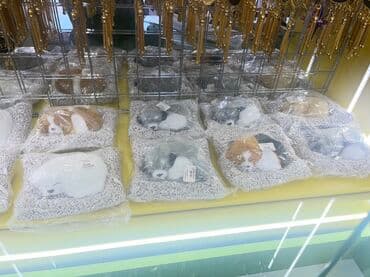 мадам коко баку: Фигура, цвет - Белый — 4