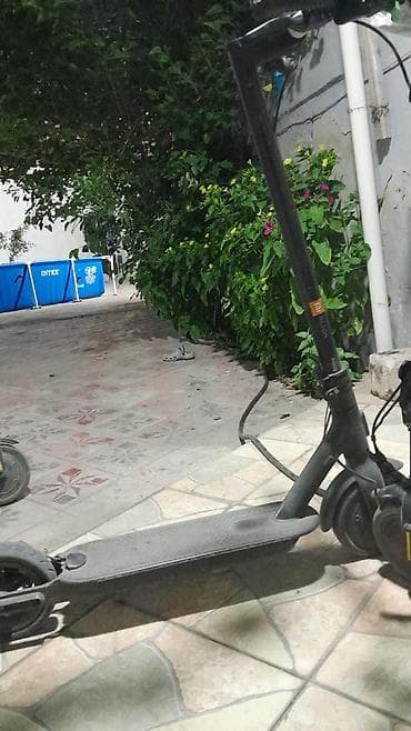 moto m50n: Elektrikli skuter – Xiaomi Mi Electric Scooter (M365/Mi Scooter xətti) — 1