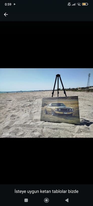 məktəb şəkilləri: Kətan üzərində dekorativ tablolar - İstəyə uyğun fərdi dizaynlar — 11