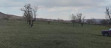 kurdaxanida heyet evleri: Kənd təsərrüfatı — 9