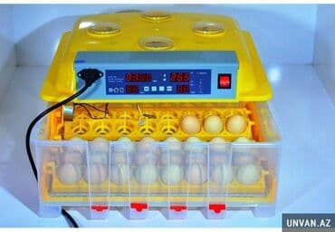 inkubator 56: Inkubator inkubatorlarin birinci əl satişi unversal inkubator Şəkildə — 1
