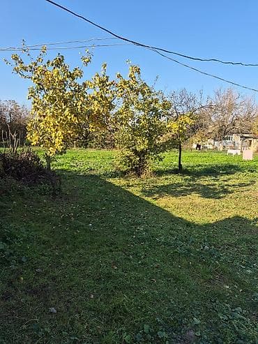 samux rayonu: 14 sot torpaq sahesinin içinde yaşayışlı ev köhnə tikili 2yataq otaq 1 — 10