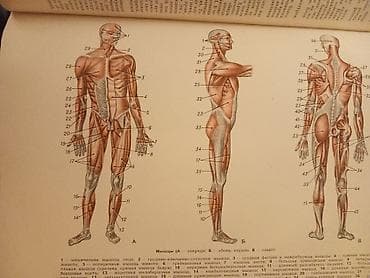 elmi kitablar: Populyarnaya Meditsinskaya Entsiklopediya (rus dilində) очень много — 2