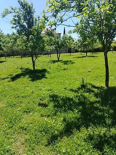 qubada yeni tikili binalar: Quba rayonuna 2 km mesafede Alekseyevka kendinde 4 sot torpaq sahəsi — 4