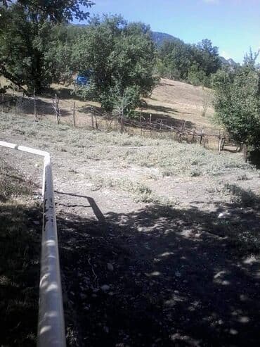 аренда продажа земельных участков: 12 sot, Tikinti, Mülkiyyətçi, Kupça (Çıxarış) — 2