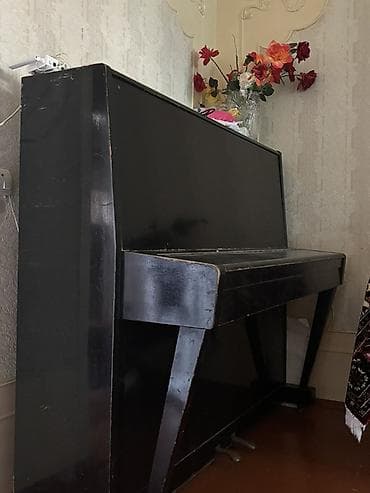 alet cantası: Piano, Akustik, İşlənmiş, Ünvandan götürmə, Ödənişli çatdırılma — 2