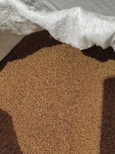 istixana satilir: Yonca toxumu satılır. enliyarpaq çoxillik yoncadı. çıxışa cavabdehəm — 2