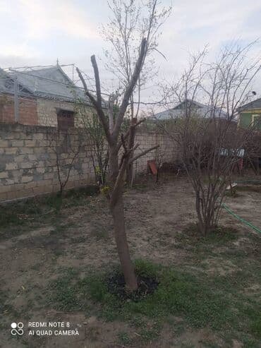 satici marketde mryve aďdeli: 3 otaqlı, 100 kv. m, Kredit yoxdur, Orta təmir — 22