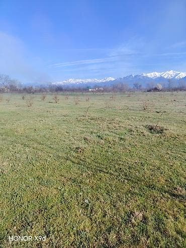 qebele torpaq: 30 sot, Kənd təsərrüfatı, Mülkiyyətçi, Texniki pasport — 7