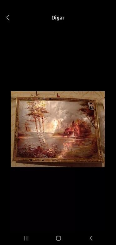 Sabirabada resim satlır 30azın