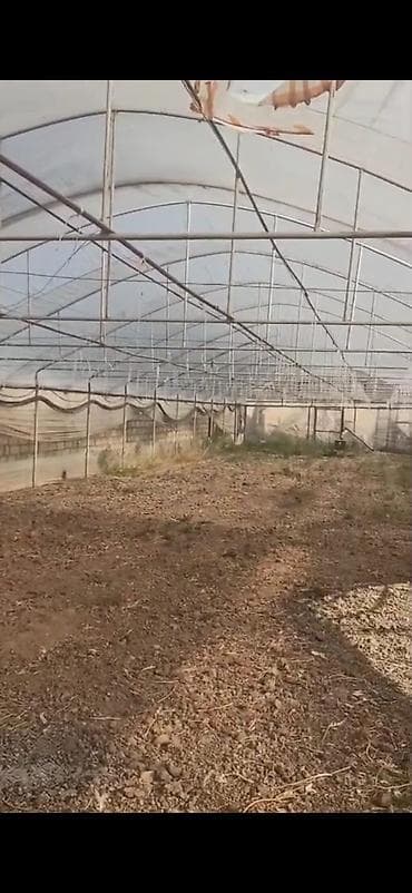 İstixanalar və parniklər: Parnik satılır – Gəncə - Ölçülər: 33 m uzunluq, 8 m en - Ümumi sahə — 1