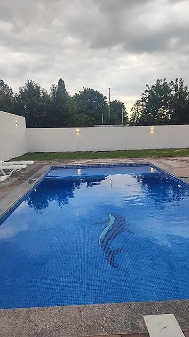 serifzadede satilan evler: 70 kv. m, 5 otaqlı, Artezian quyusu, İnternet, Telefon — 4