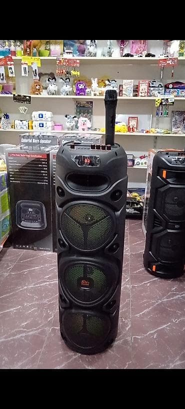 Компьютеры, ноутбуки и планшеты: Колонка, Тип - Портативная, цвет - Черный — 1