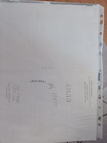 Əbdül Əlizadənin ailə kitabı - 5 man
