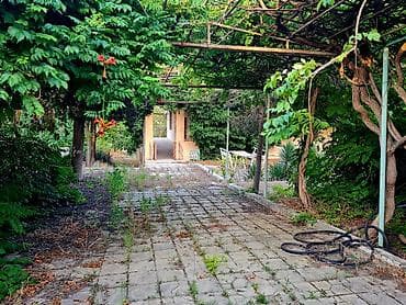 bineqedi heyet evi: 23 sot. Bilgeh 16 ci dalan. 500 min. Su quyusu var 180 kvadrat kohne — 10