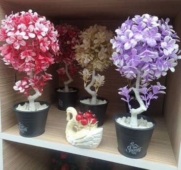 Dekor dibçekler
Türkiye istehsalı lalafo.az -da Dekor dibçekler
Türkiye istehsalı