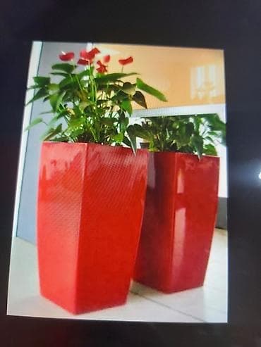 Buket güllər: Dekorativ bağ və interyer üçün modern qablama – fiberglass/kompozit — 1