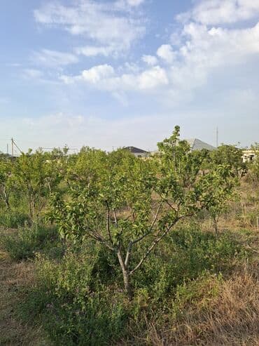 kirayə evlər yeni yasamal: 3 otaqlı, 100 kv. m, Kredit yoxdur, Yeni təmirli — 37