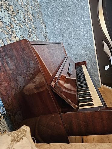 nerd satilir: Piano, Belarus, Akustik — 4