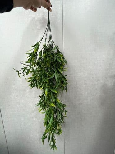 pul gulu cicek aciyor: Süni yaşıl bitki bəzəkləri – interyer və tədbirlər üçün dekorativ — 16