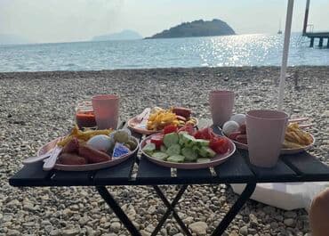 купить стол для бильярда: Qatlanan masa. Maşında yer tutmur. Kamp, piknik üçün ideal vasitədir — 4