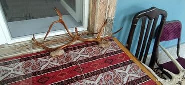 yağlı kağız qiyməti: Qiymət 150azndır qiymətdə edirim olacağ — 1