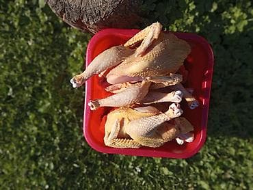 toyuq döş əti: Kənd toyuğu Toyuq Bütöv — 2