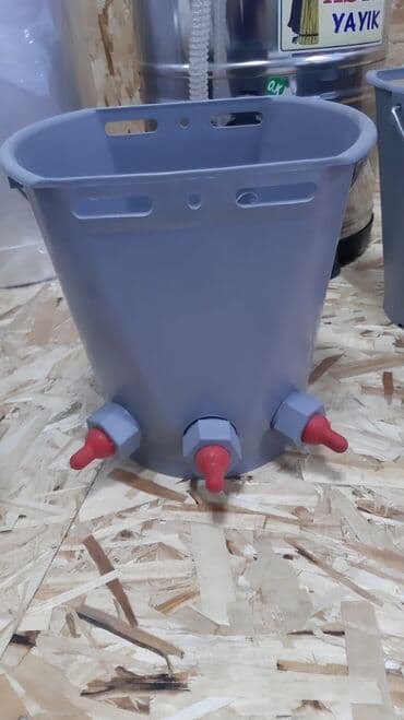 yarasa yuvasi qiymeti: Suluk 
Hər növ 
Su qabları 
Yeni — 4