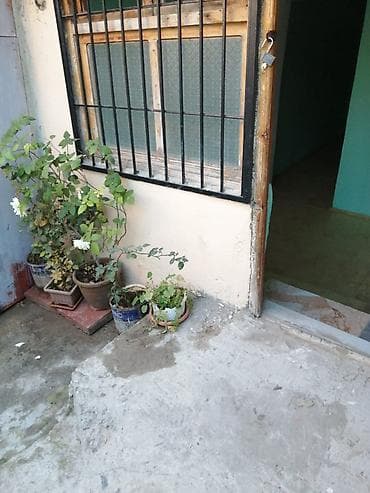 binede kiraye ev: Sumqayıt seheri pasyolka BTZ klubunun arxasında yerlewir 1 otaq bir — 7