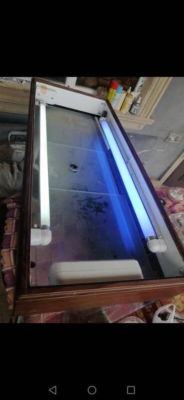 baliq tutmaq ucun yem: Akvarium — 2