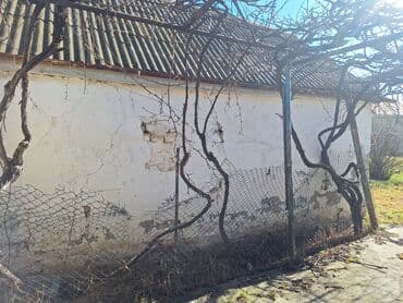 qaradağ rayonu muşfiqabad qəsəbəsində kirayə evlər: Mərəzə, 56 kv. m, 3 otaqlı, Hovuzsuz, Artezian quyusu, İnternet, Telefon — 4