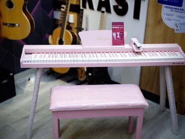 электронное пианино: Пианино, Цифровой, Новый, Самовывоз — 12