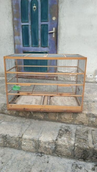 dövsan: Dovşan toyux cuce qefesi 100 azndi satisda 50 manata verirem 20 gun — 1