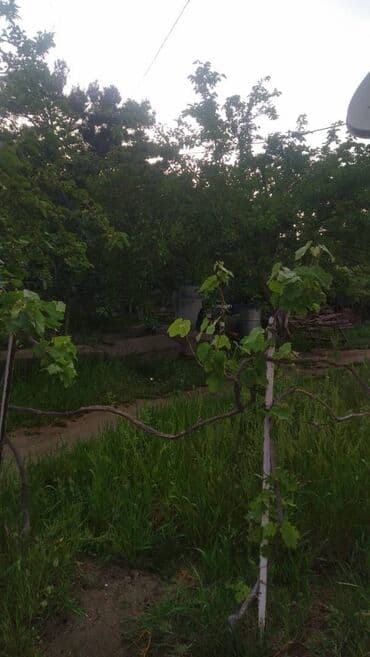 аренда дачи посуточно: 130 м², 4 комнаты — 2