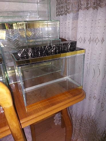 yumru akvarium satisi: Çatdırılma tam pulsuzdu ölçü və dizaynında dəyişiklik etməy olar arxa — 10