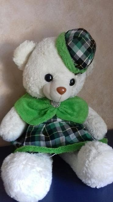 Mişka heç bir yerində problem yoxdu təmiz və seliqelidir böyükdür