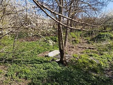 sumqayitda ev alqi satqisi 2018: 10 соток, Для строительства, Собственник, Договор — 8