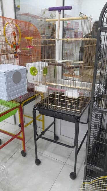 quş qəfəsləri: Qəfəs 9azn Valnisti Tutuquşu Qəfəsi 9azn Amadin Bülbül Qəfəsi 9azn — 25