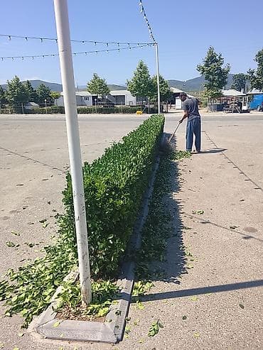 Bağ çətirləri: Yaşlix xidməti 0518153161 — 2