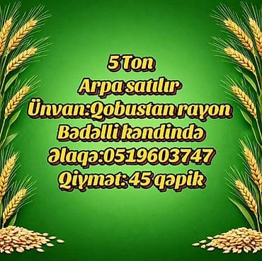 Məhsul: Arpa Miqdar: 5 ton Ünvan: Qobustan rayonu, Bədilli kəndi