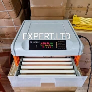 hinduska yumurtasi nece gune cixir: Expert şirkətinin rəsmi istehsalı olan, android-rejimli aparatların — 18