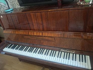 akustik gitara simi: Upright pianino – “Zavod im. D. Shostakovich (Zavoronek)” markalı - — 4