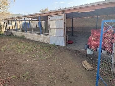 beyleqanda torpaq satilir: 36 sot, Biznes üçün, Mülkiyyətçi, Kupça (Çıxarış), Bələdiyyə — 9