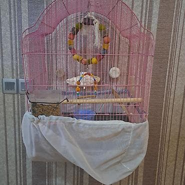 Akvarium aksessuar və ləvazimatları: Qəfəs və aksesuar dəsti – xırda ev quşları üçün - Ölçü: orta həcmli — 5