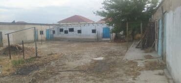 kiraye evlər xırdalan: 3 otaqlı, 240 kv. m — 6