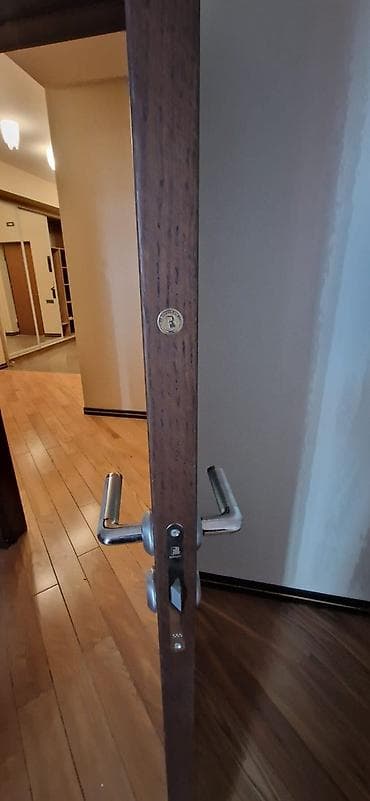 alminum qapi: Italiya istehsali iç məkan üçün 7 eded qapı. Komplektə qapı qanadı — 3
