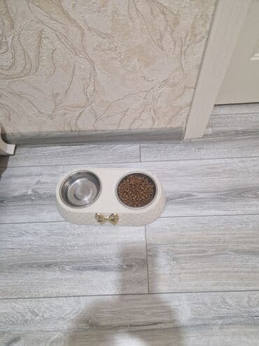 Клетки: Pişik üçün tam avadanlıq dəsti - İki qablı yem və su stendi: Qalın — 1