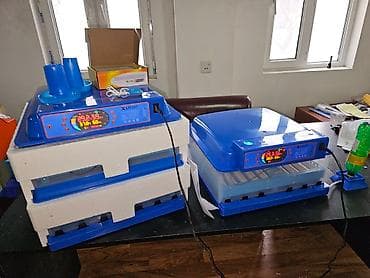 İnkubatorlar: 100 yumurta, Çin, Bütün növ quşlaq üçün, Azərbaycan dilində təlimat, Zəmanət ilə — 10