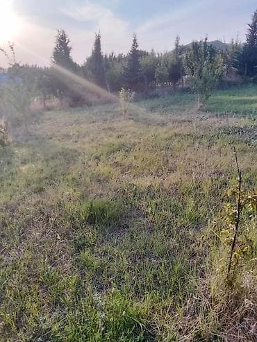 ucuz torpaq oğuz: 10 sot, Tikinti, Mülkiyyətçi, Kupça (Çıxarış) — 4