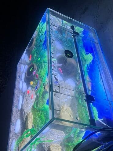 qus yuvasi duzeltmek: Akvarium-şkaf, Balıqlarla birlikdə, 90 l, Ödənişli çatdırılma — 11